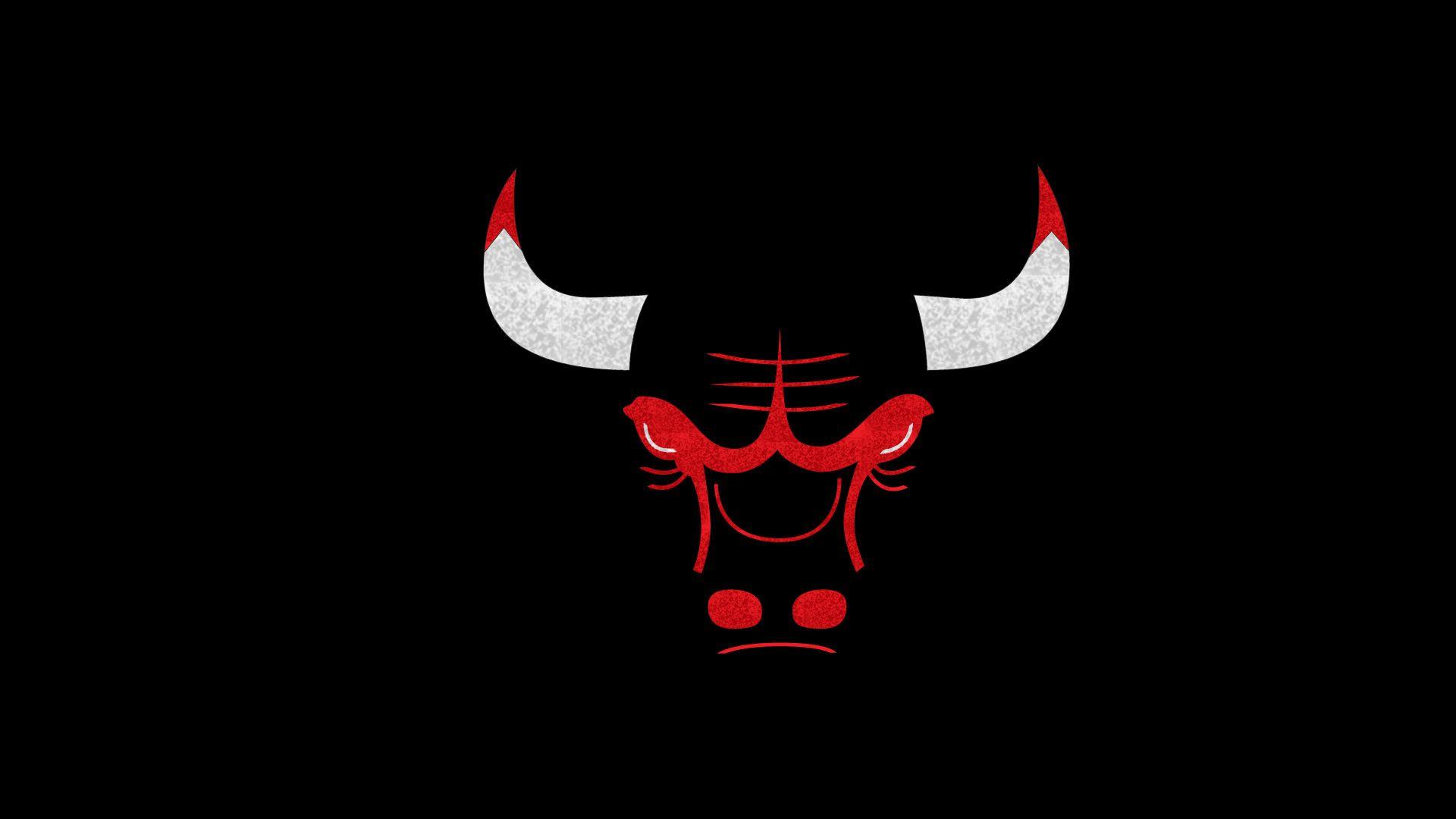 Chicago Bulls Logo Image