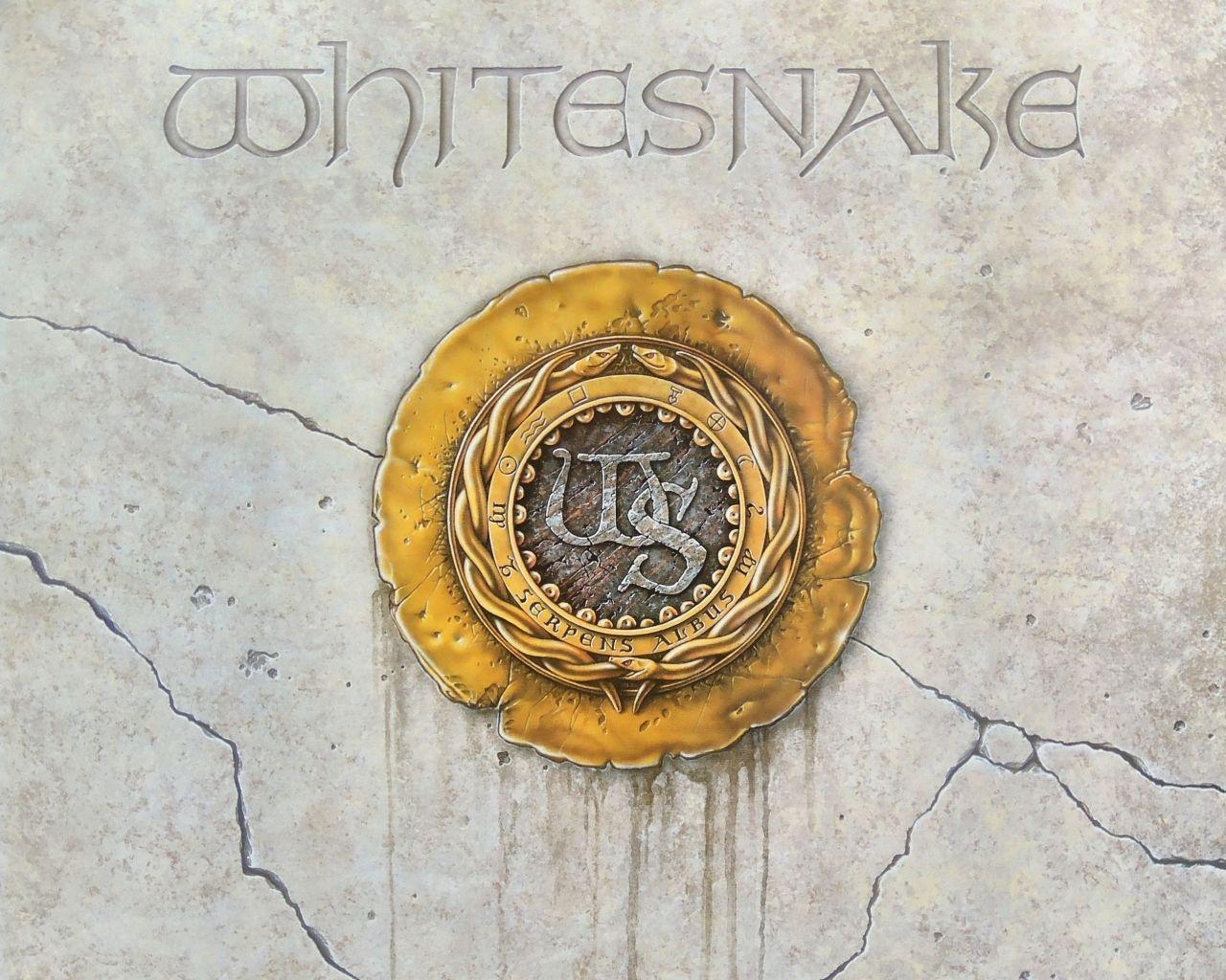 Whitesnake. free wallpaper, music wallpaper