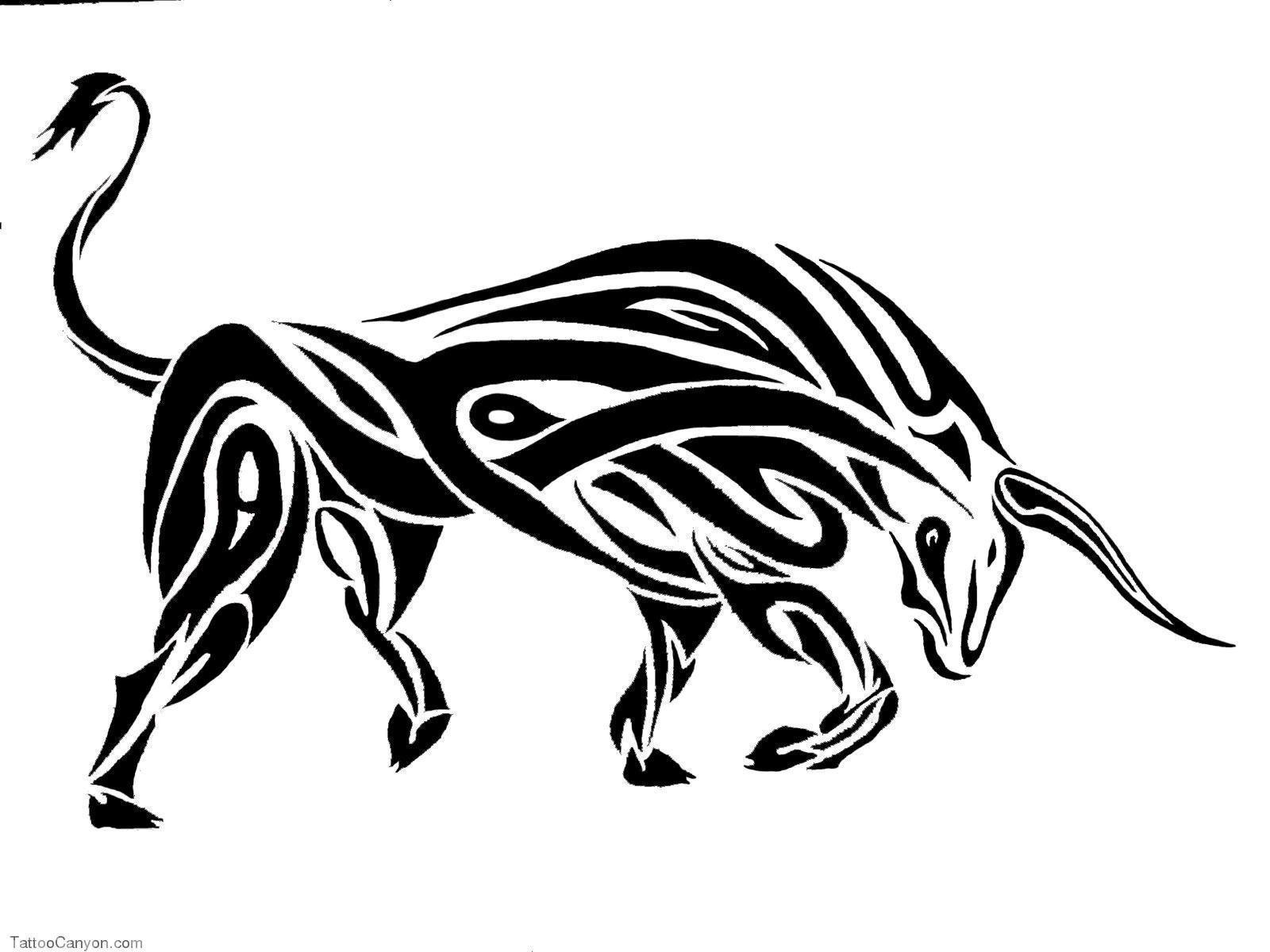 Free Designs Tribal Bull Tattoo Wallpaper Picture 1600x1200PX