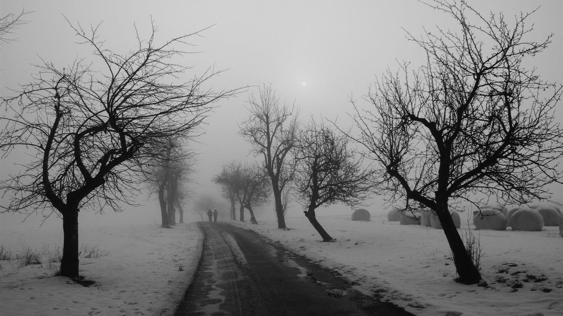 winter road black and white