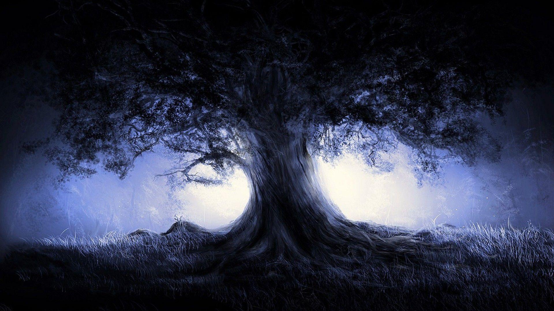 Tree in the dark forest Wallpapers #