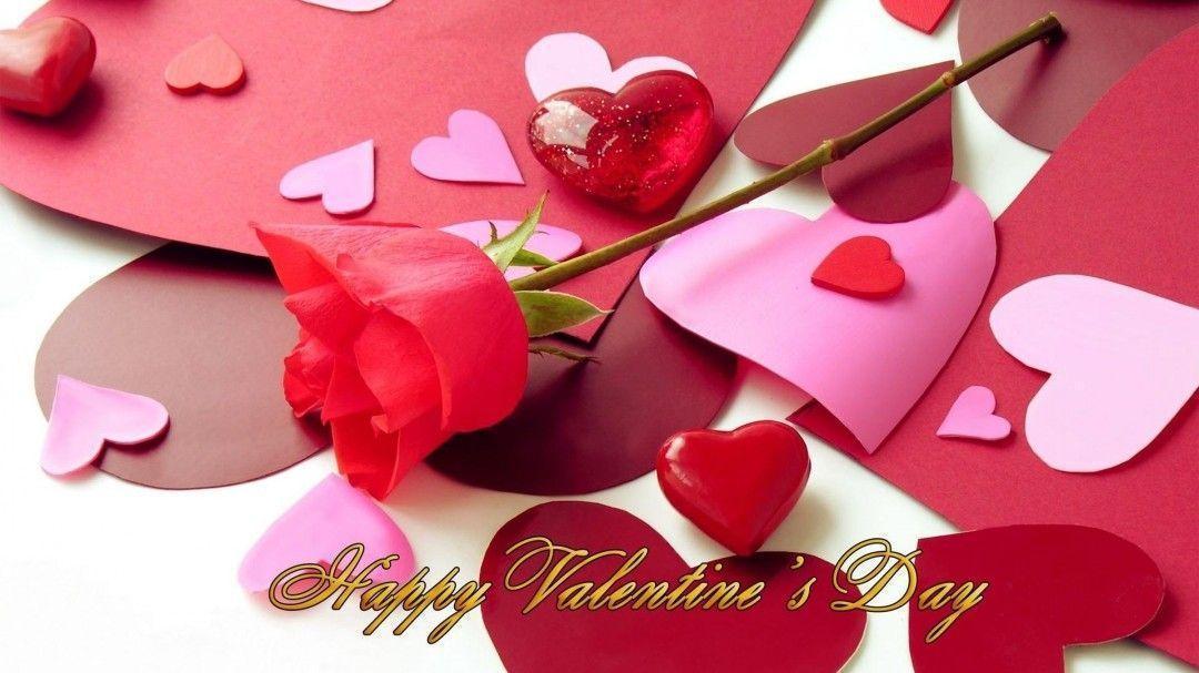 Happy Valentines Day Flower HD Wallpaper of Love