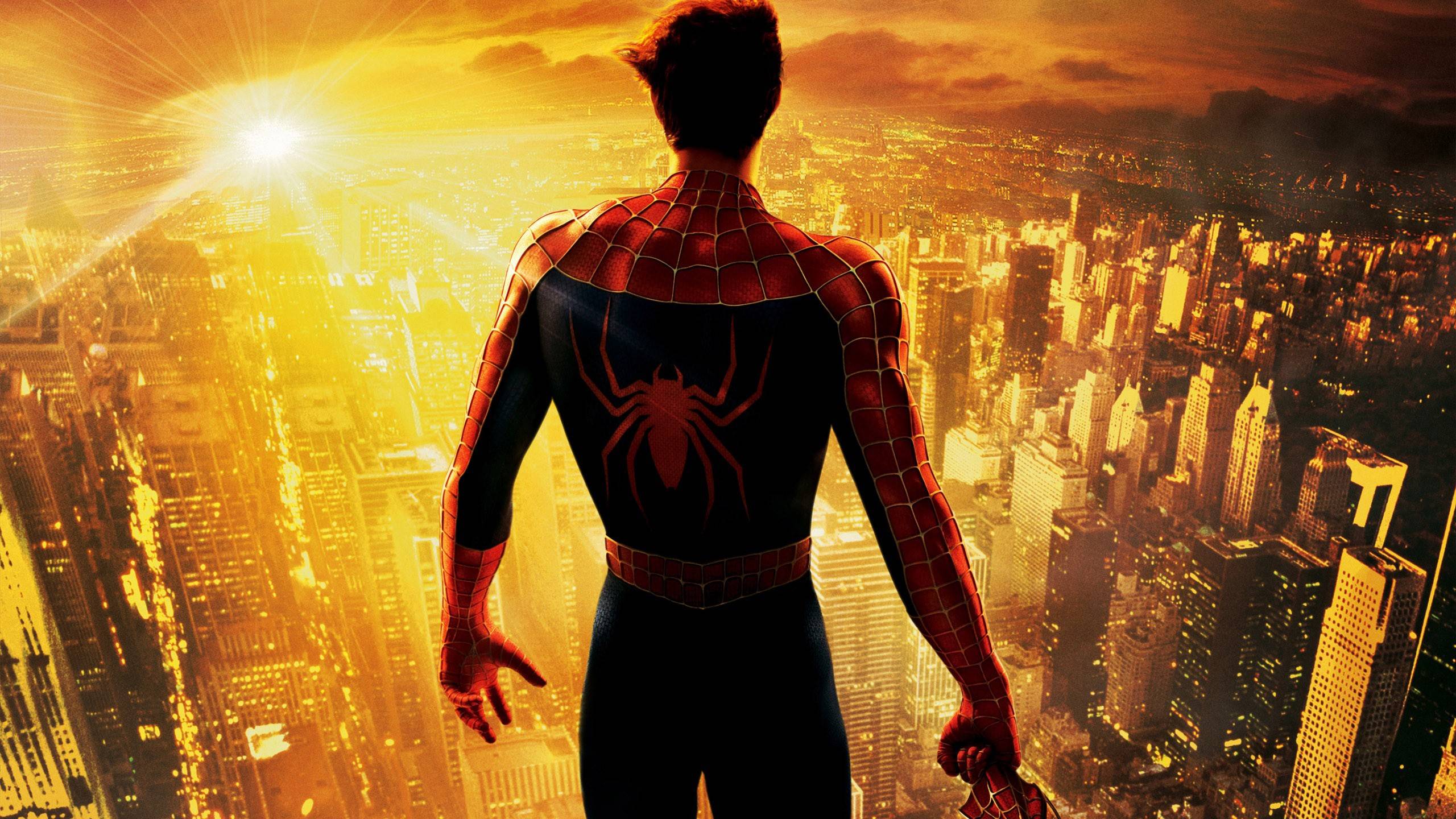 SpiderMan Look Over City Wallpaper Wide or HD