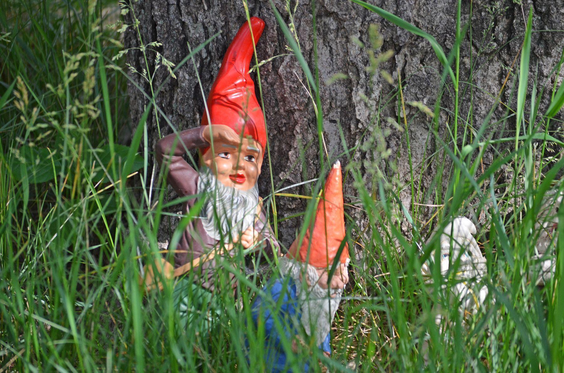 image For > Garden Gnome Art
