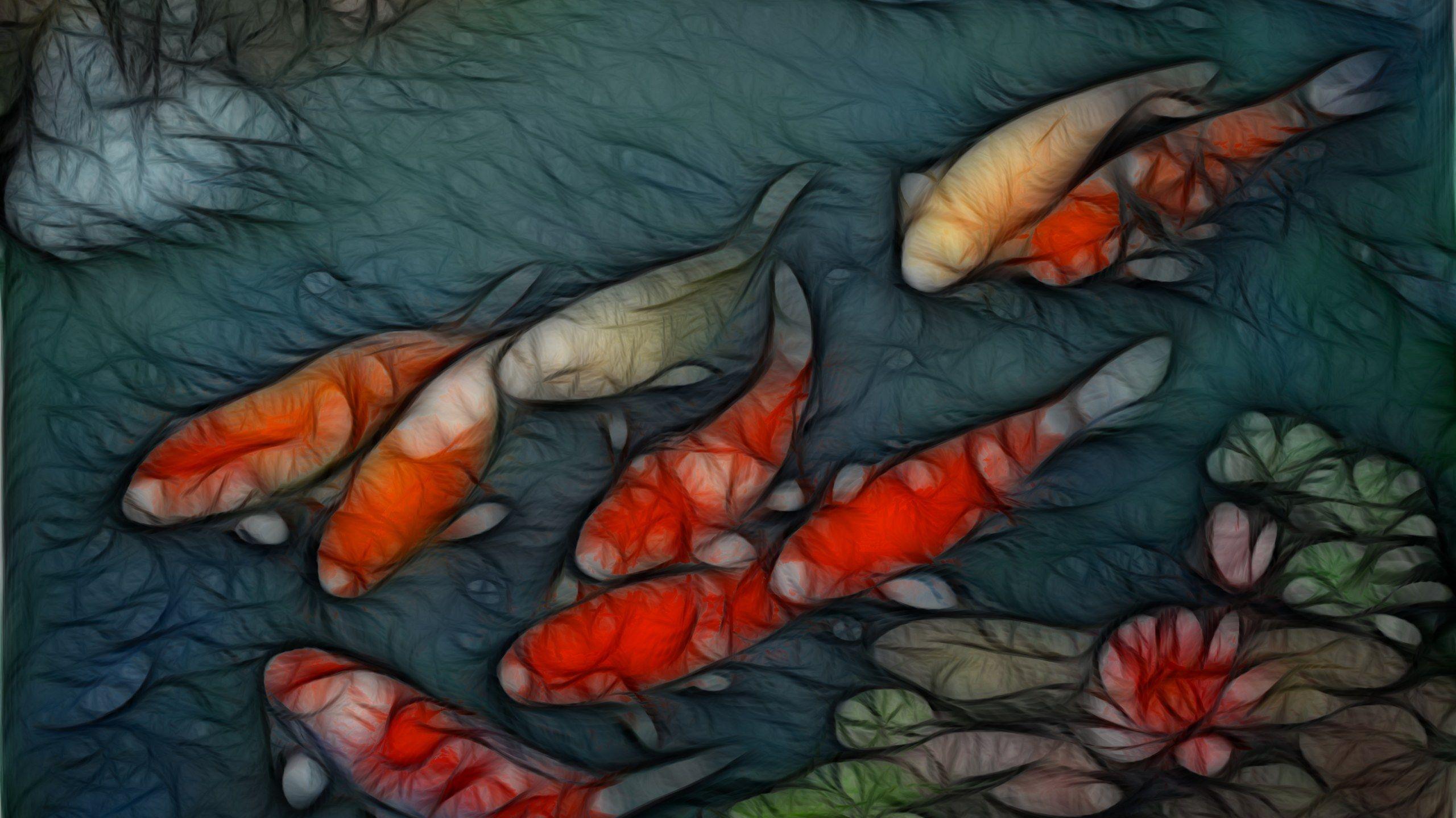Koi Fish Paint Background Wallpaper Wallpaper