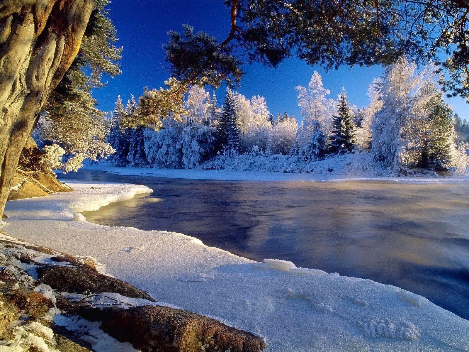 Winter Desktop Wallpaper Free