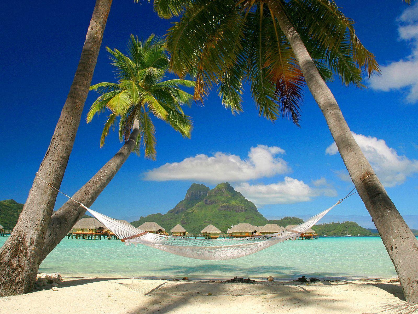 Tropical Beaches Backgrounds