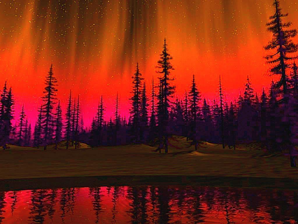 Nice Northern Lights Wallpaper HD Picture. HD
