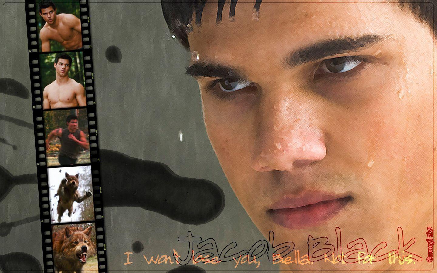 Taylor Lautner Wallpaper, Image, Picture. On Secret Hunt