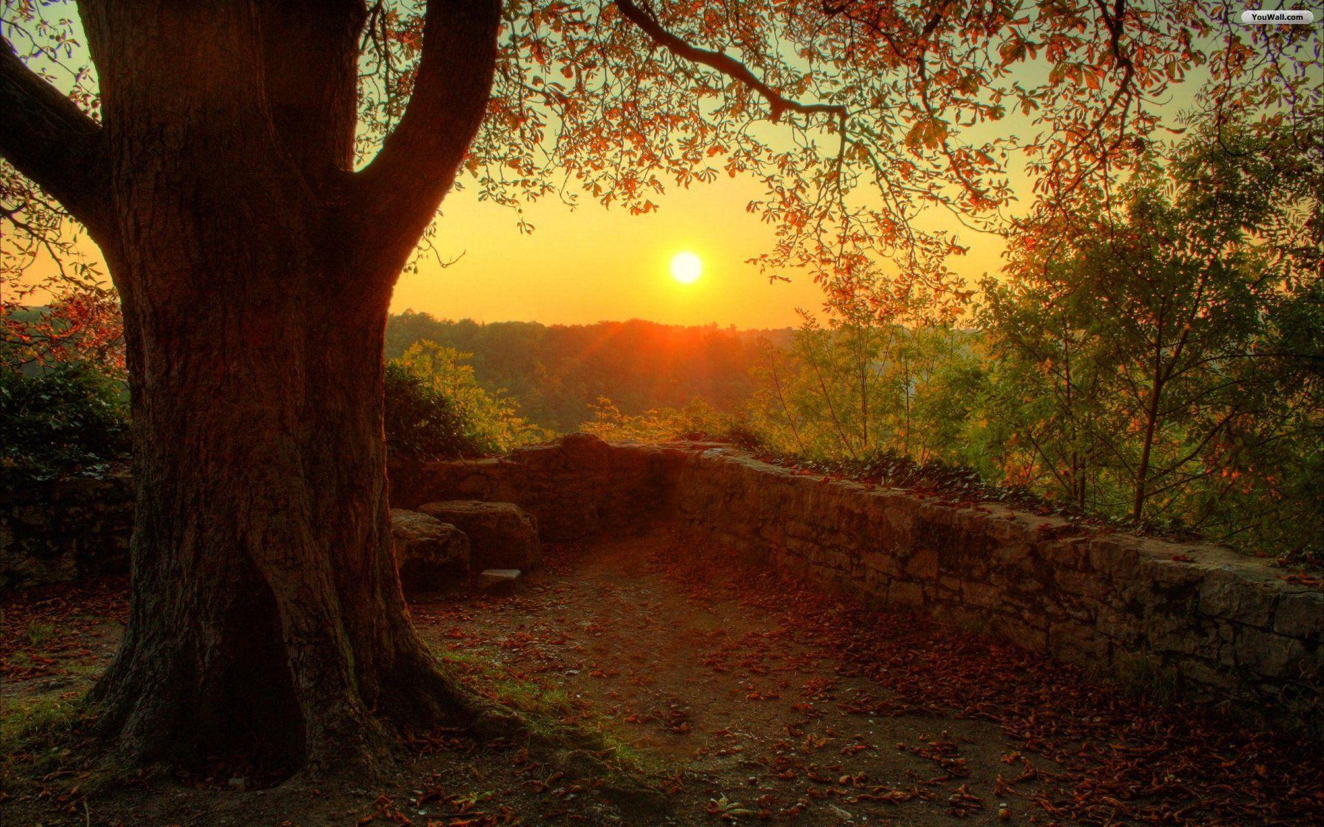 Autumn Sunset Wallpaper