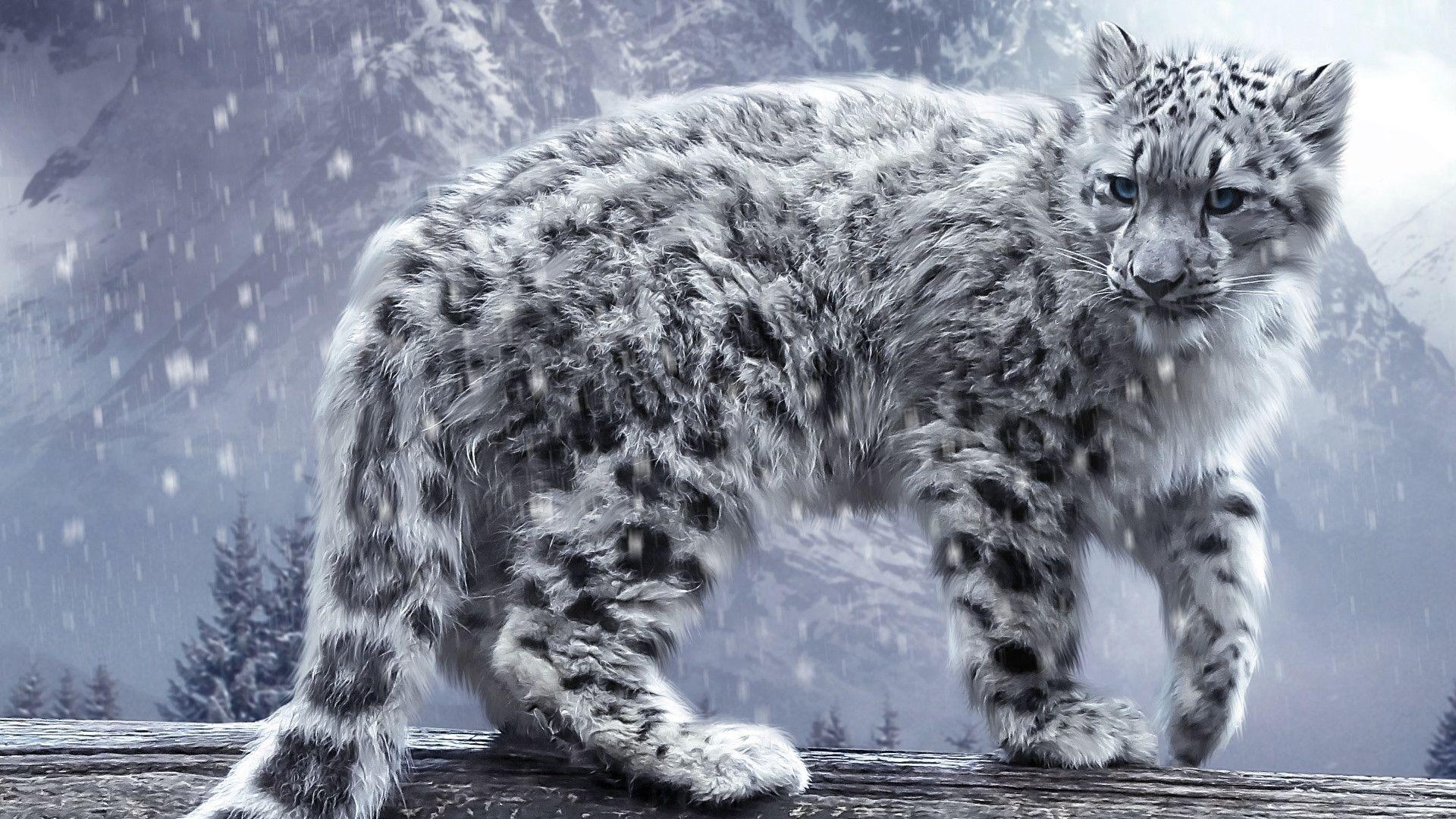 Snow Leopard Artwork. Download HD Wallpaper