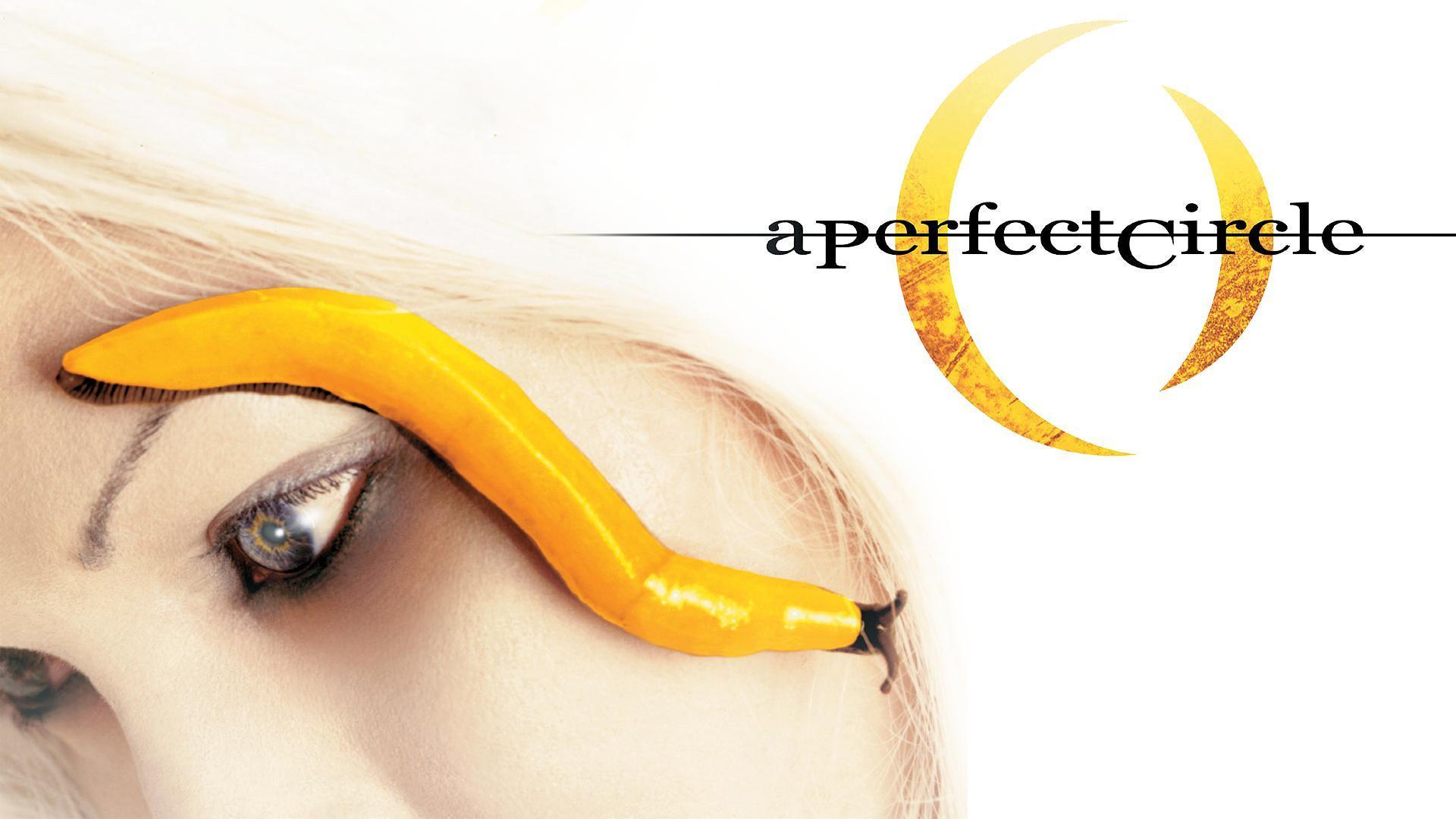 Pix For > A Perfect Circle Wallpapers