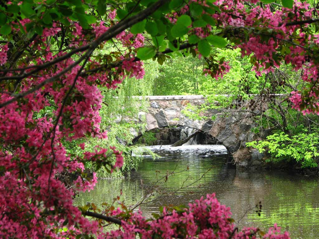 Nature Wallpaper For Desktop