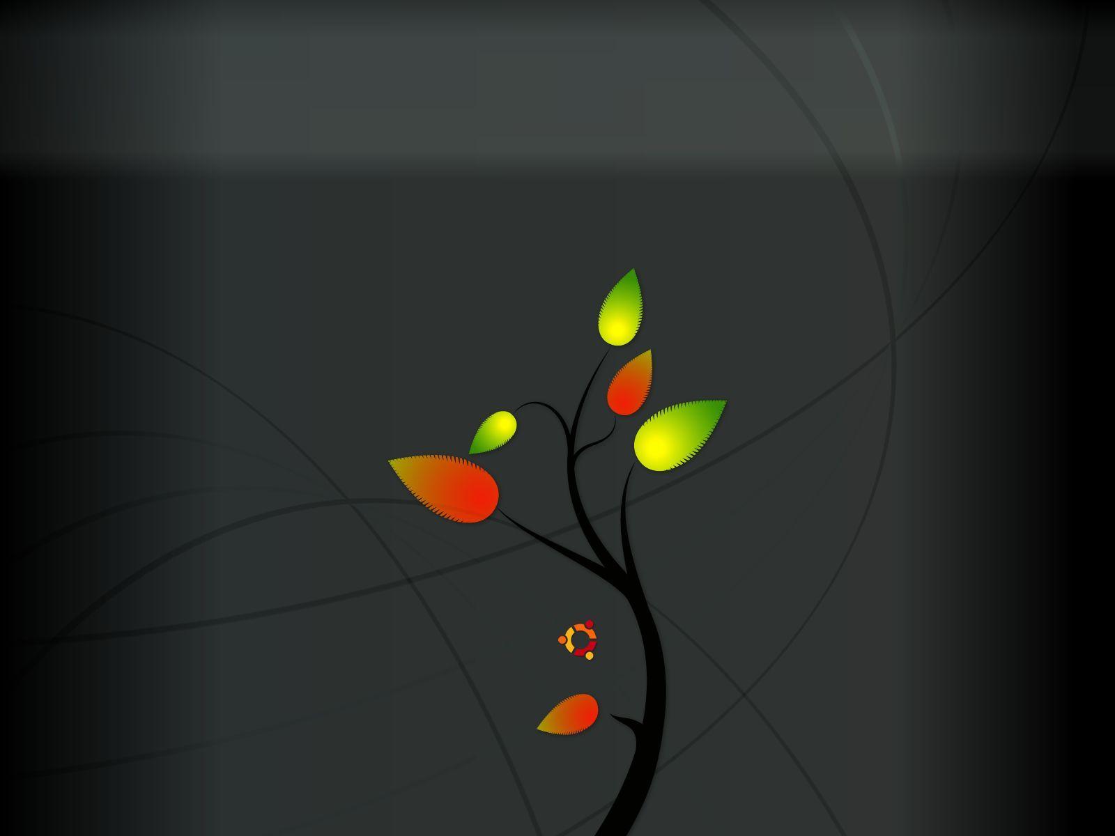 Ubuntu HD 2 Wallpaper and Background