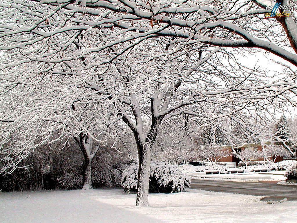 Free Desktop Wallpaper Winter Scenes Connecticut