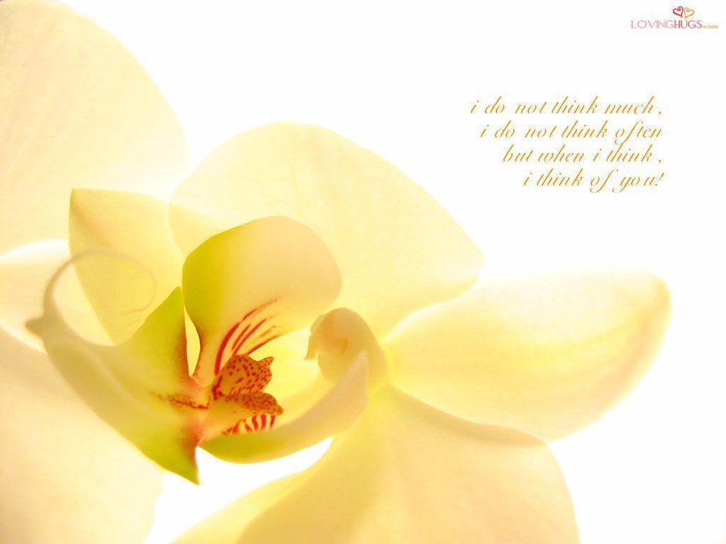 Free Wallpaper Dekstop: Water quotes wallpaper, free desktop wallpaper