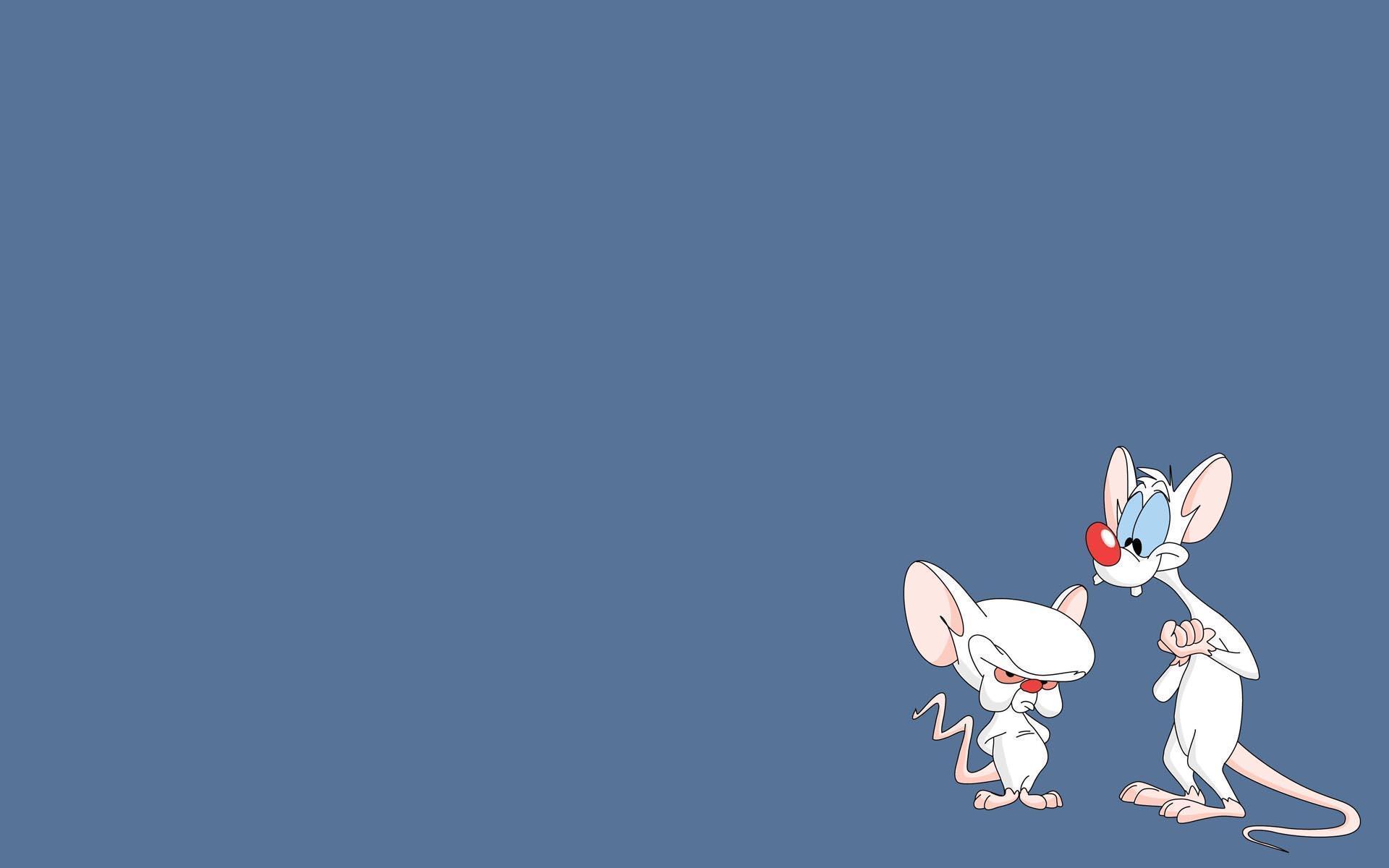 Pinky And The Brain wallpaper