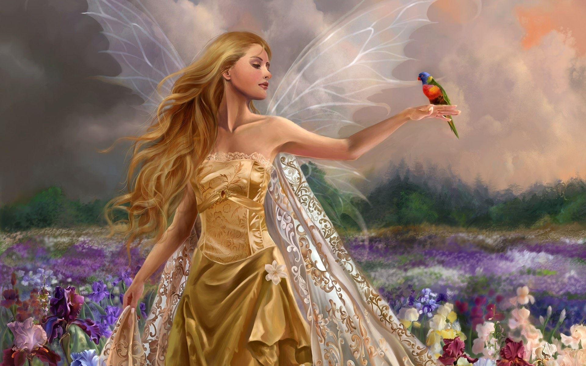 Fantasy, Fairytale, bird, flower, wings. Top Wallpaper 1920x1200