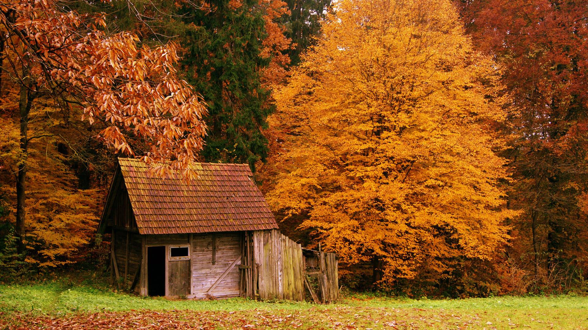Autumn Cabin In The Wood iPhone Wallpaper