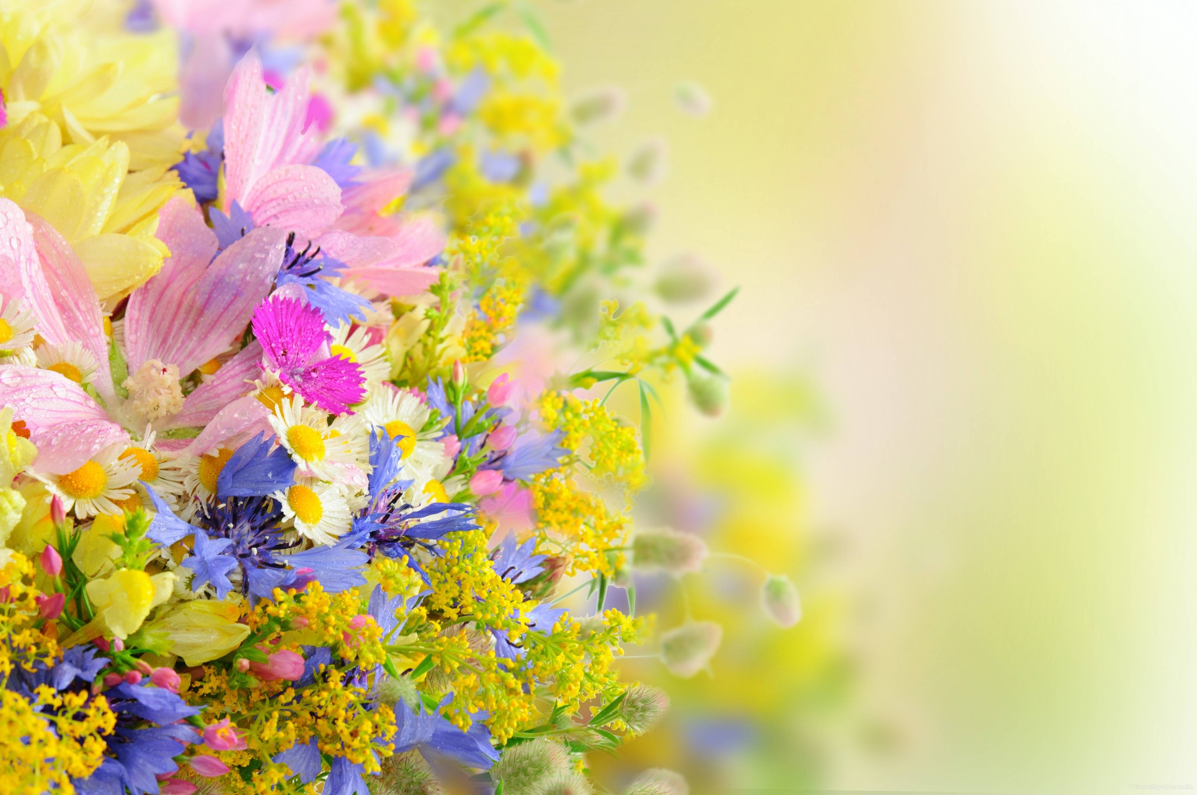 Best Flowers HD Background