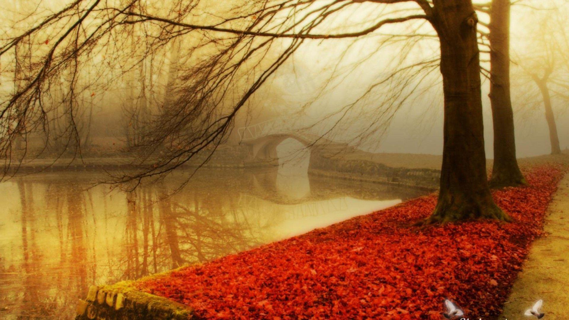 Pix For > HD Autumn Wallpaper 1080p