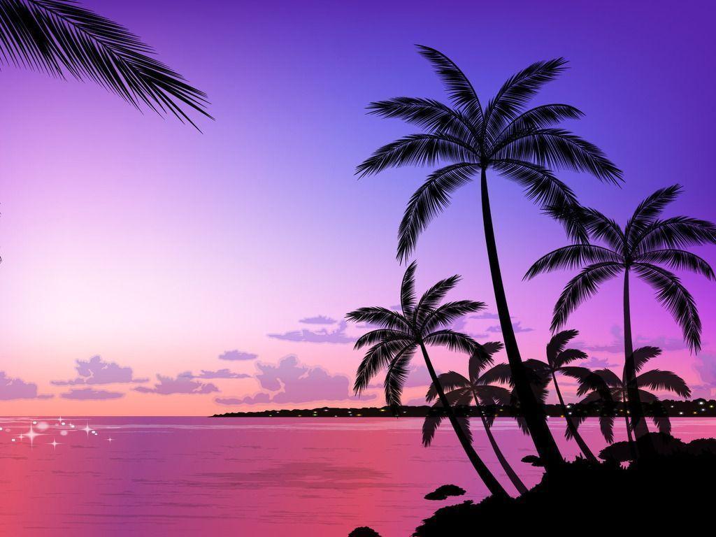 Purple Sunset Wallpaper: Free Purple Palms Sunset Wallpaper