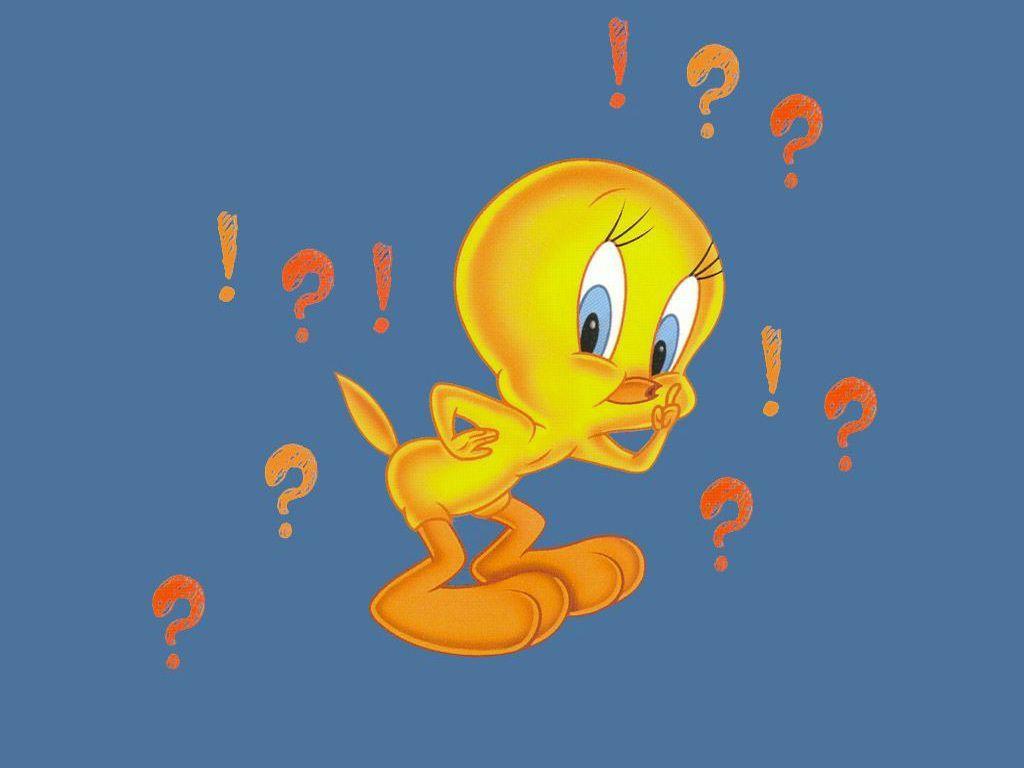 Tweety Bird Wallpaper Bird Wallpaper