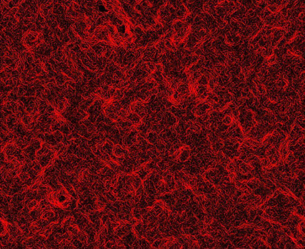Deep Red Backgrounds Wallpaper Cave