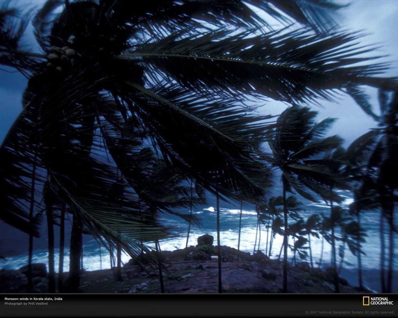 Monsoon in Trivandrum, India