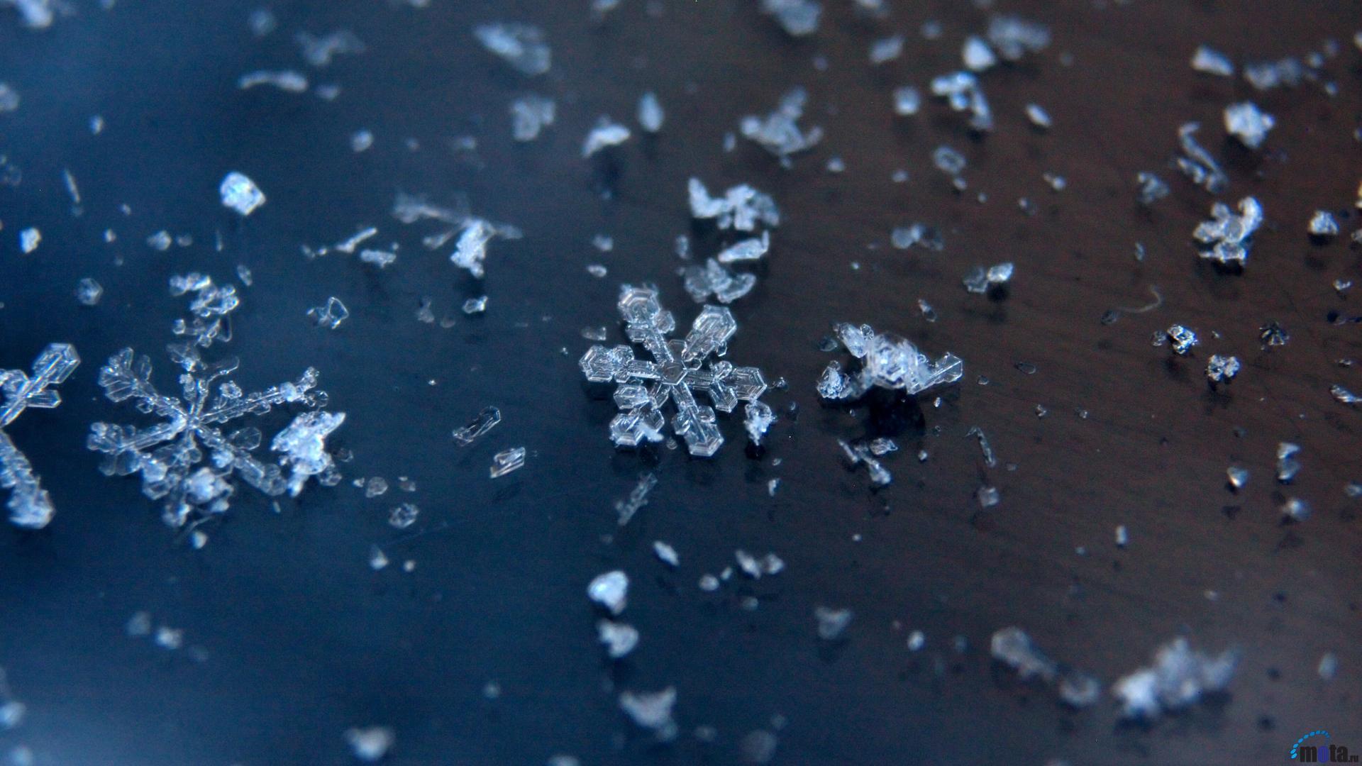 Snowflakes Wallpaper