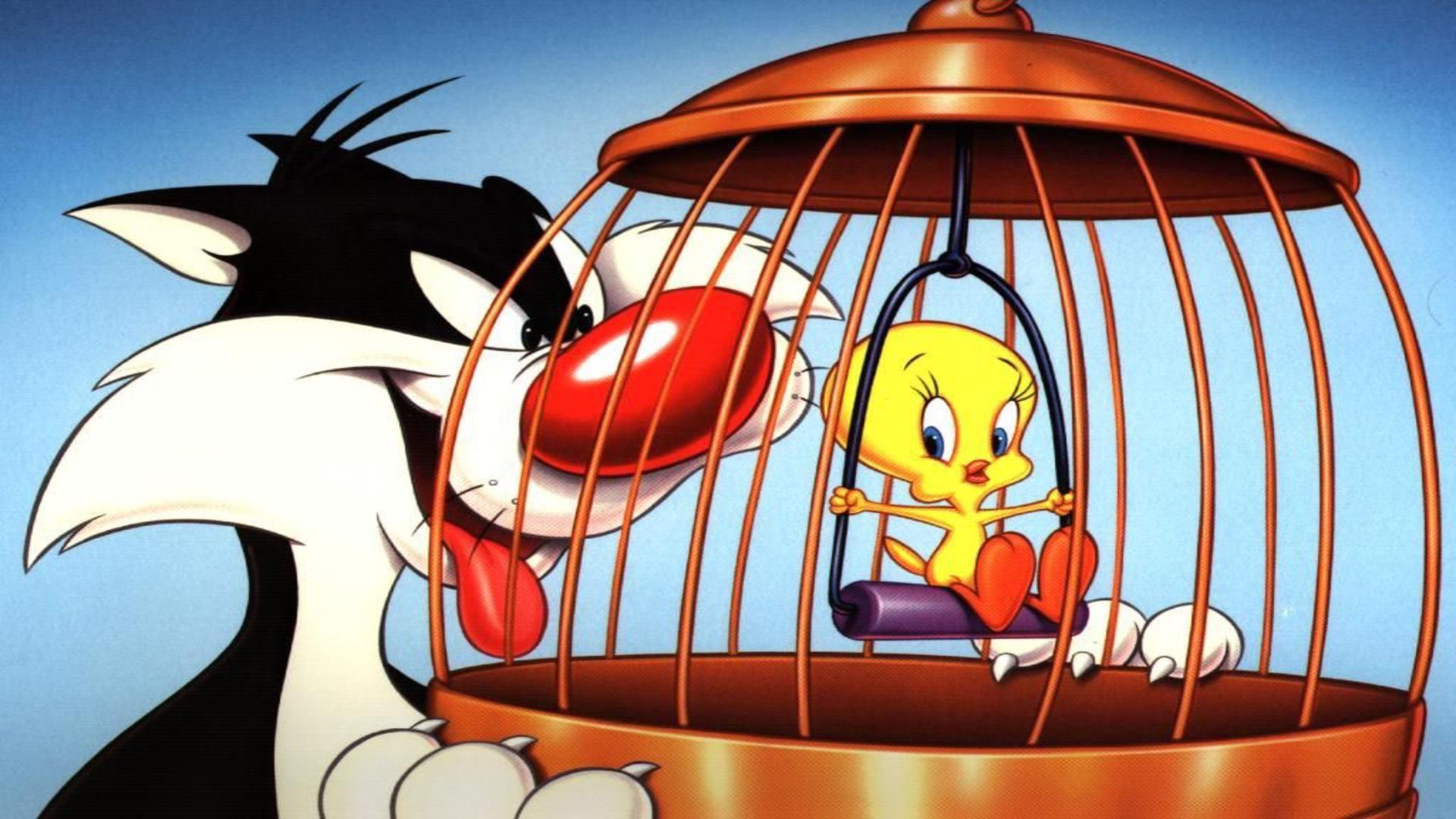 Sylvester tweety wallpaper cartoon frame cat and bird in cage free
