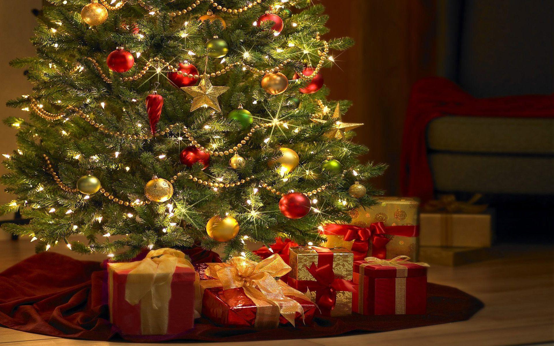 Christmas Tree HD Wallpapers Free Download
