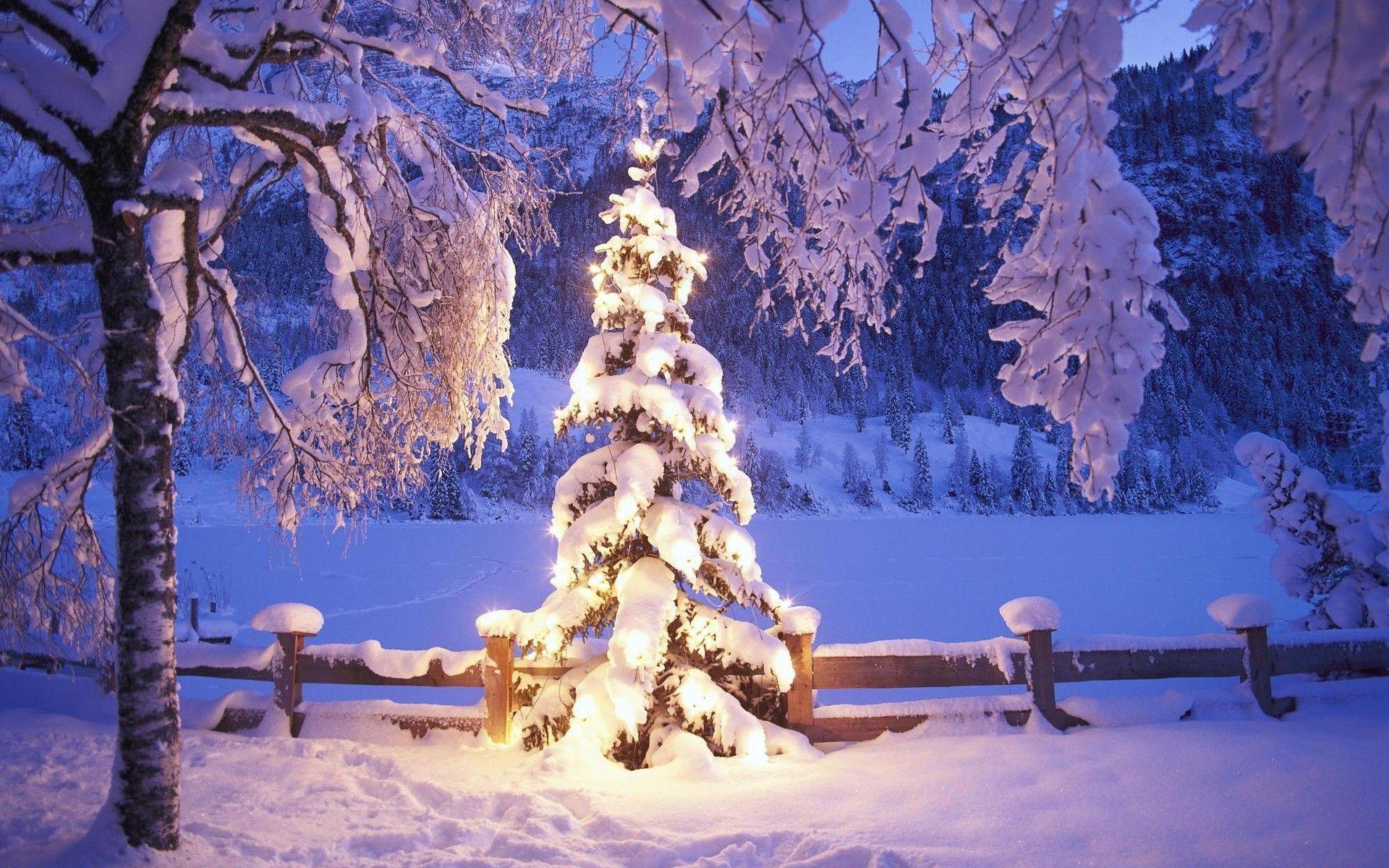 Snowy Christmas Wallpapers - Wallpaper Cave