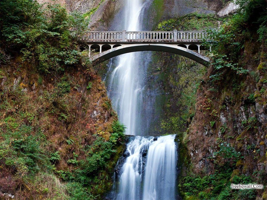 Pics Collection. Photo Blog