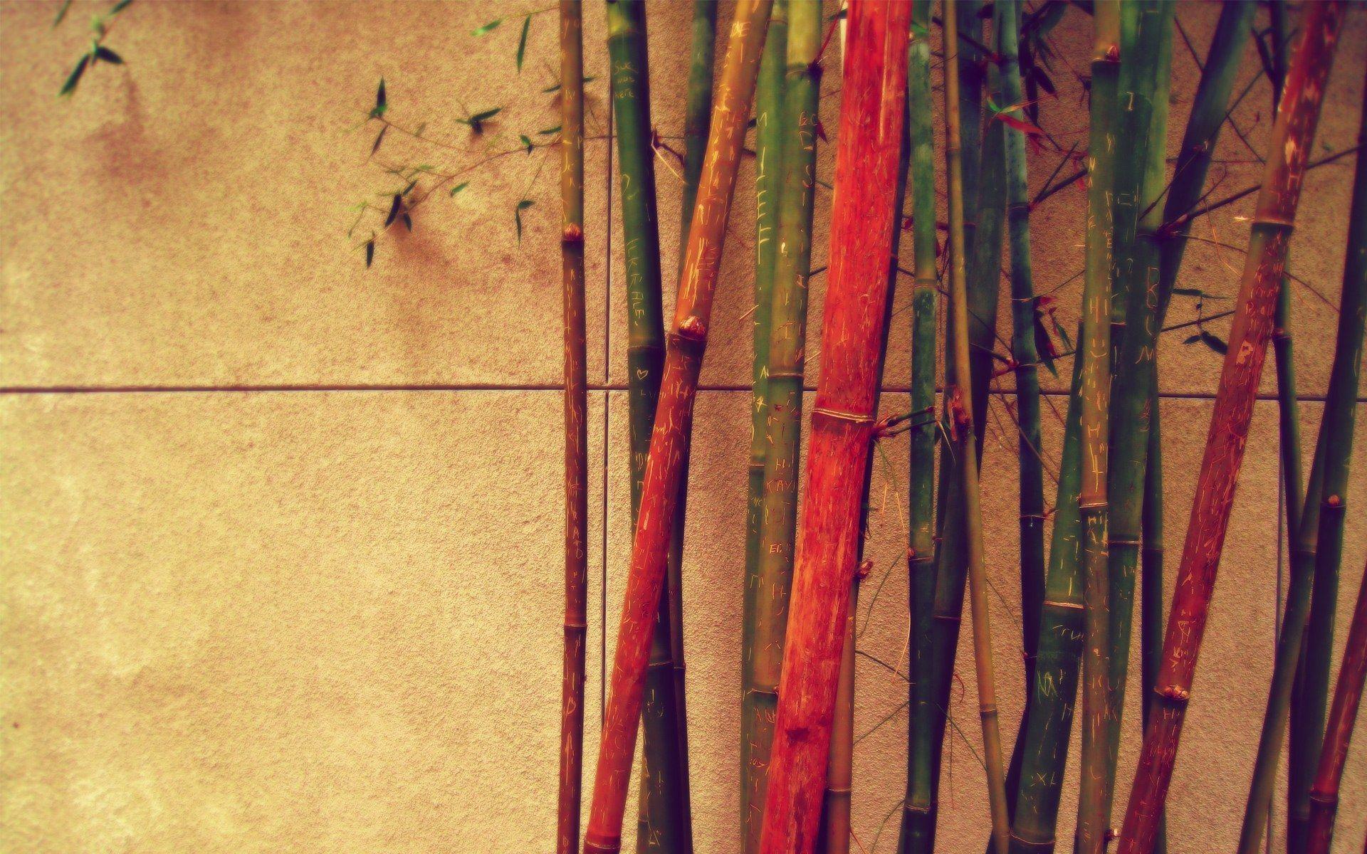 Bamboo Vintage Retro Wallpaper Wide 65417 Wallpaper. Cool