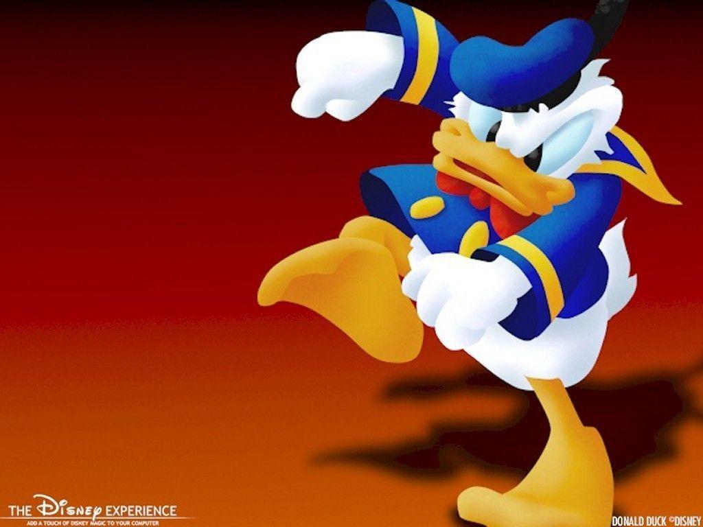 Donald Duck Wallpaper Donald Duck 6350998 1024 768