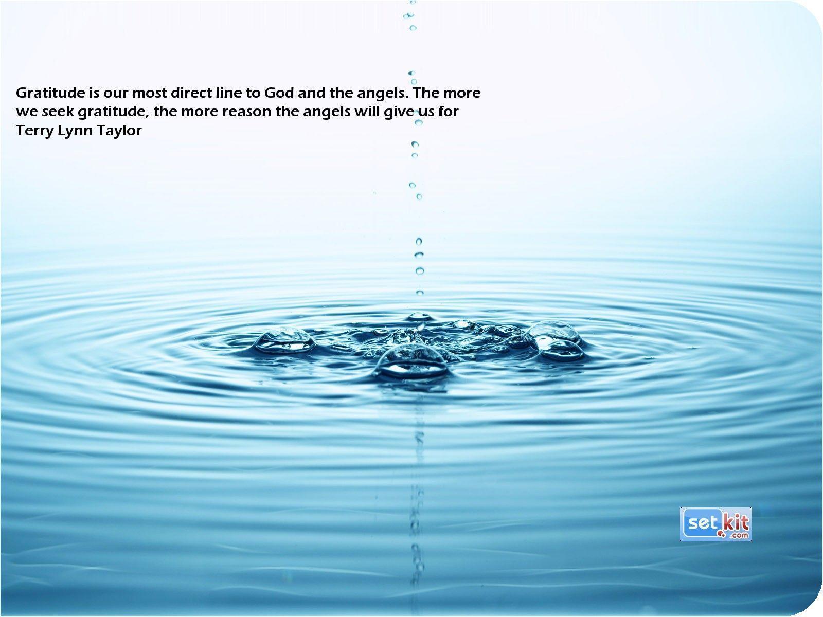 Gratitude Quotation Wallpaper Download Free