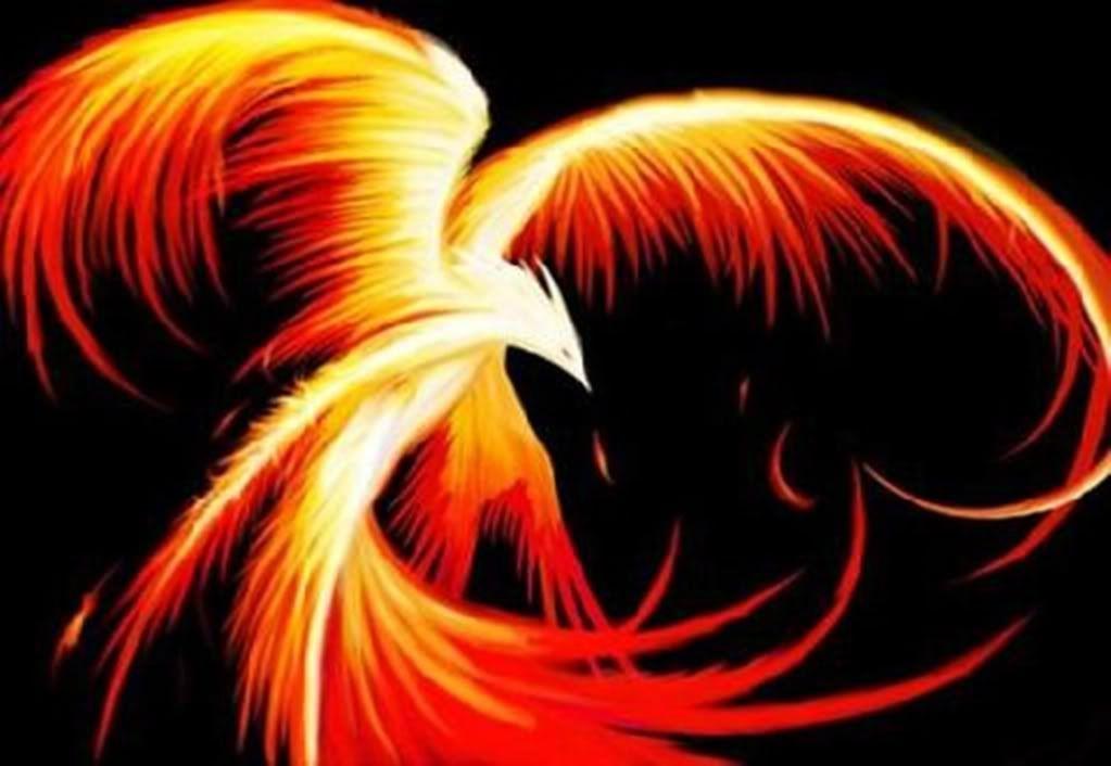 Phoenix Bird Image
