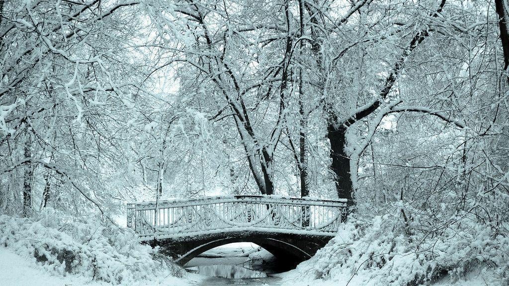 Winter Wallpaper Background and Picture Full HD for PC and MAC