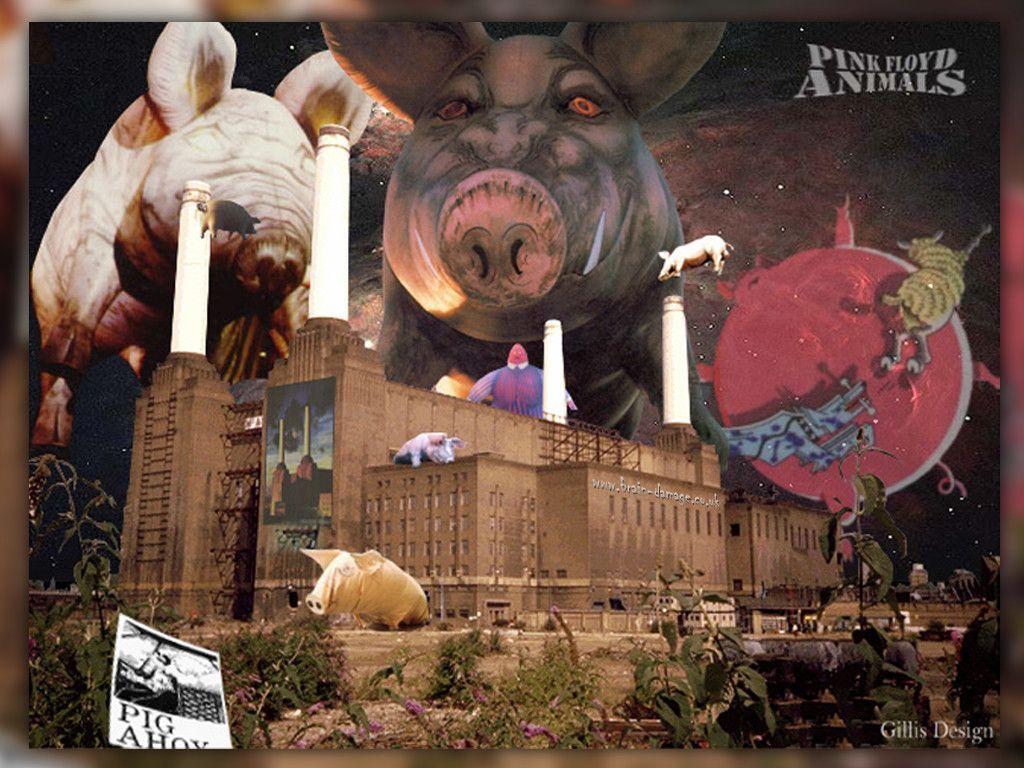 Pink Floyd Animals Wallpapers  Wallpaper Cave