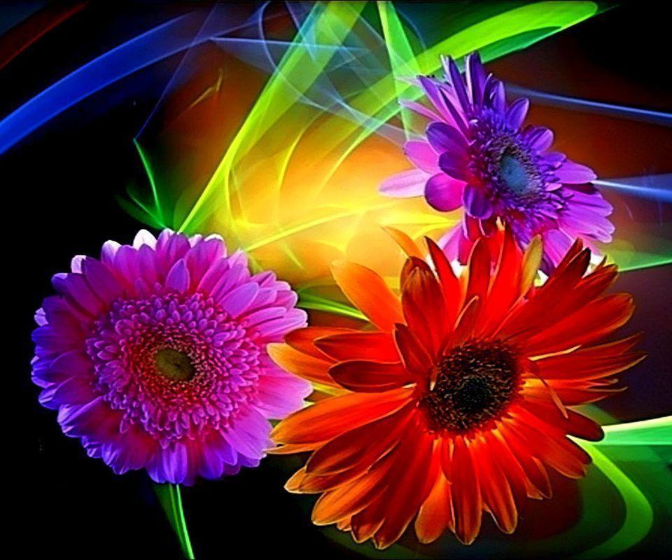 Android 960×800 Wallpaper 1695