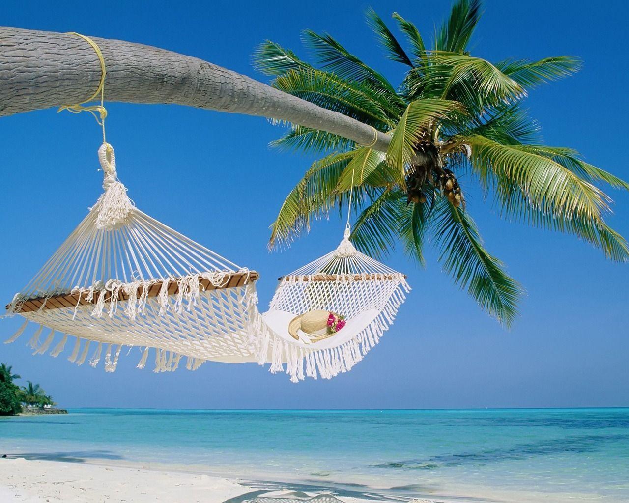 Hammock Wallpaper Beaches Nature