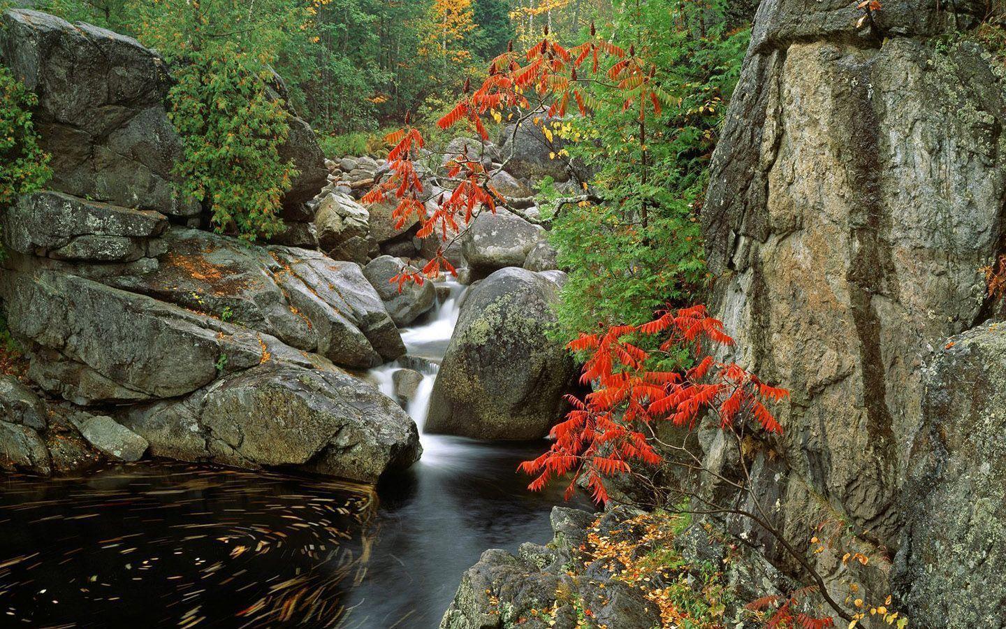 high resolution desktop wallpaper nature