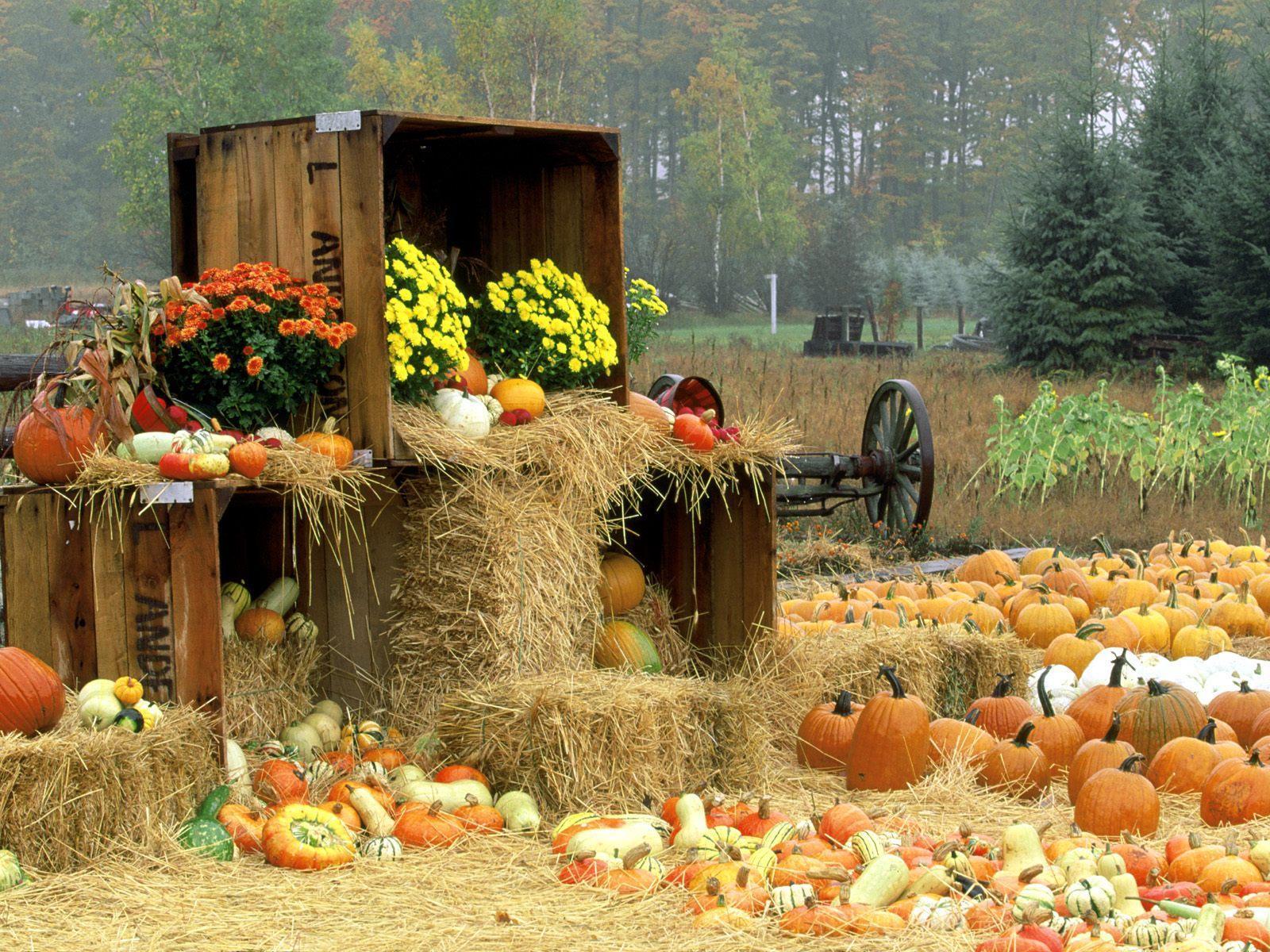 fall desktop wallpaper background