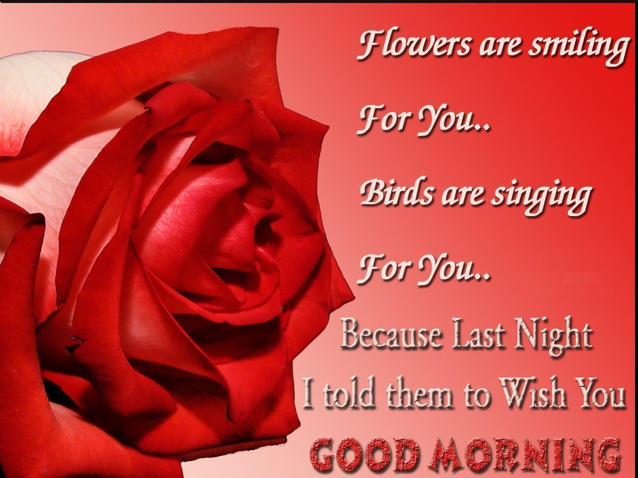 Sweet Red Rose for Good Morning Wallpaper, Ecards