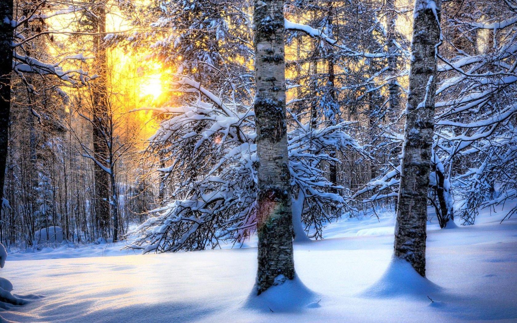 Winter Sun widescreen wallpaper. Wide