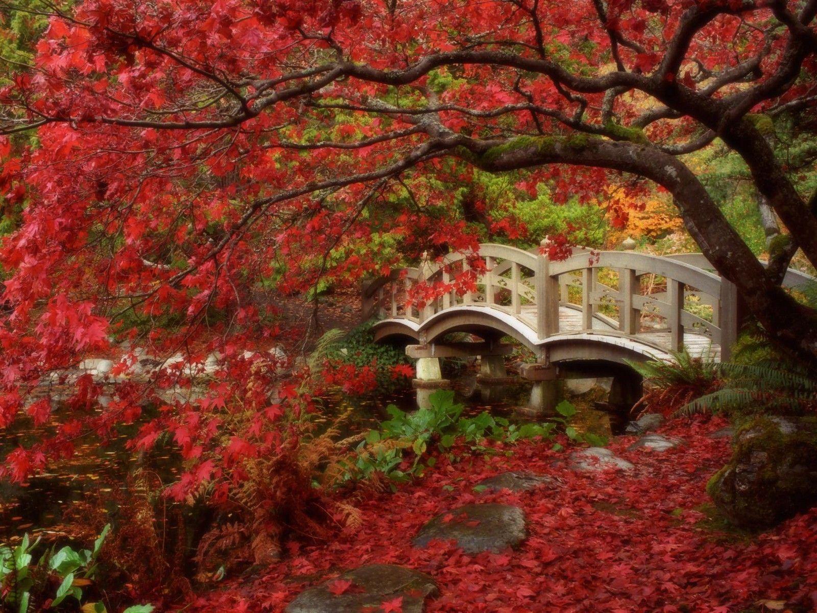 Fall Pc Wallpaper 31424 HD Desktop Background and Widescreen