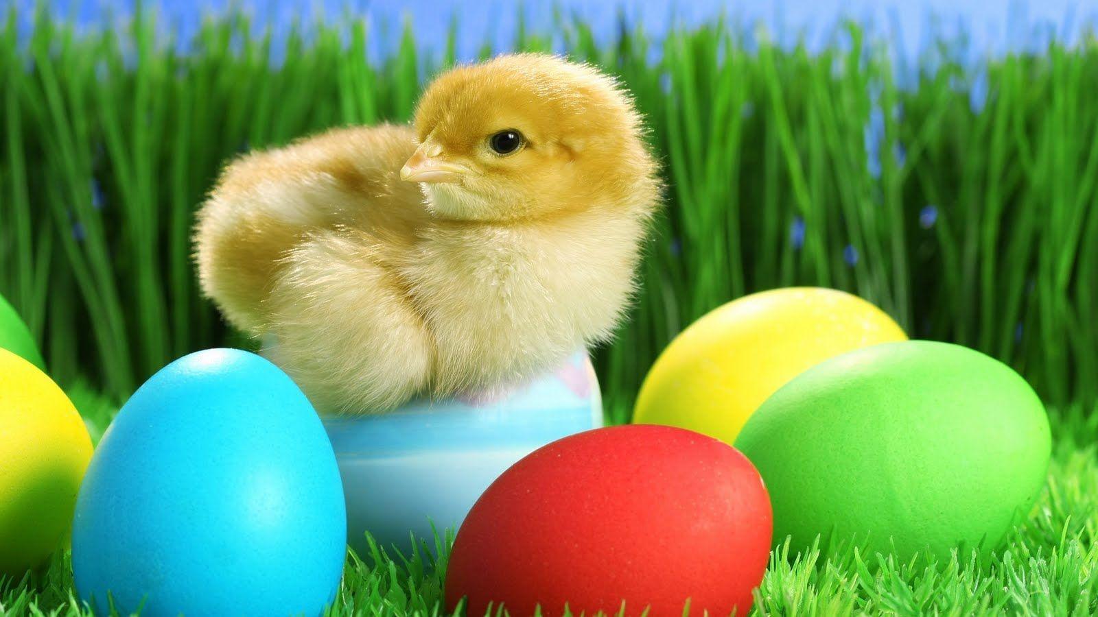 Easter Wallpaper 51 222914 Image HD Wallpaper. Wallfoy