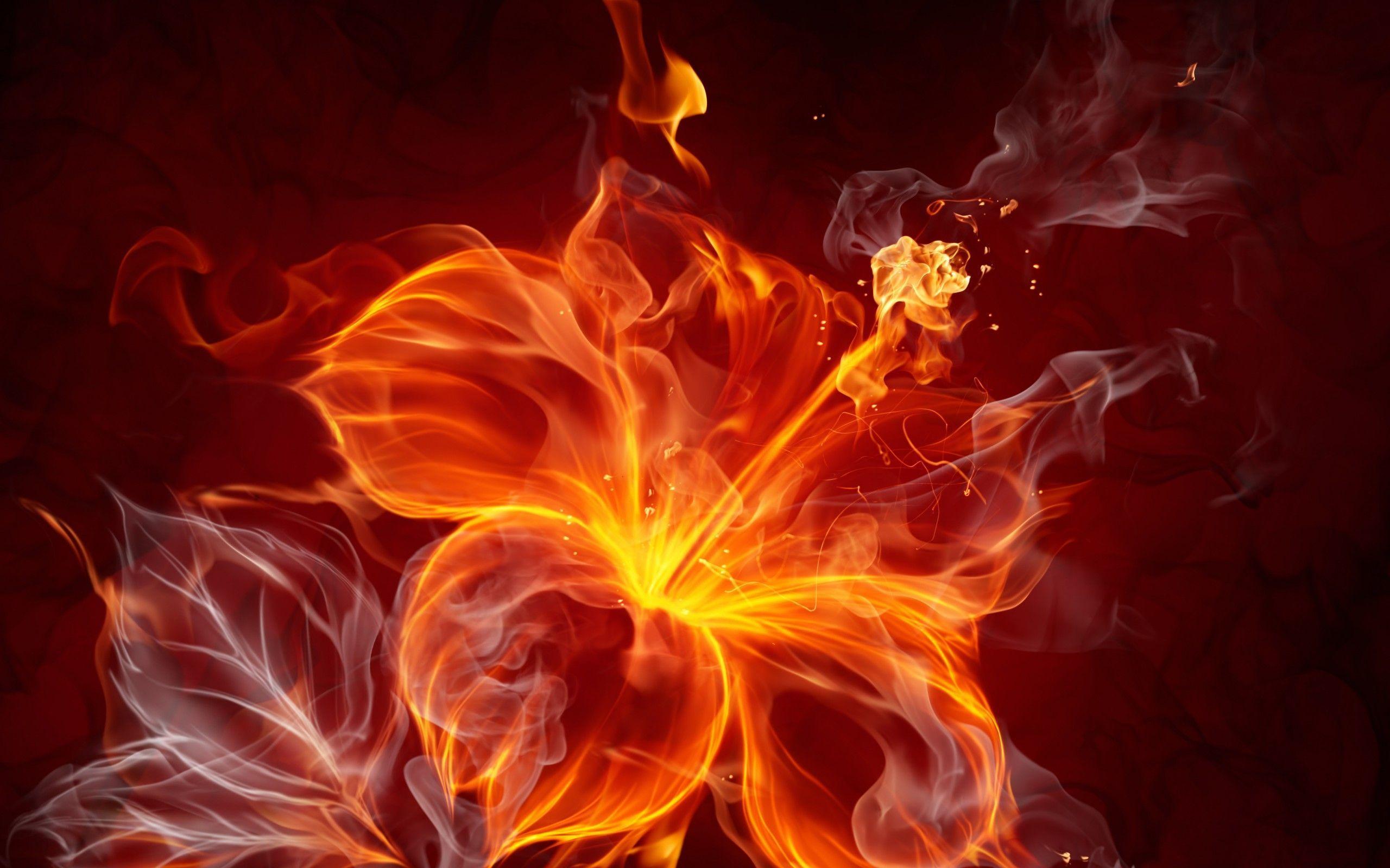 Fire Flower Wallpaper. HD Wallpaper, background high resolution