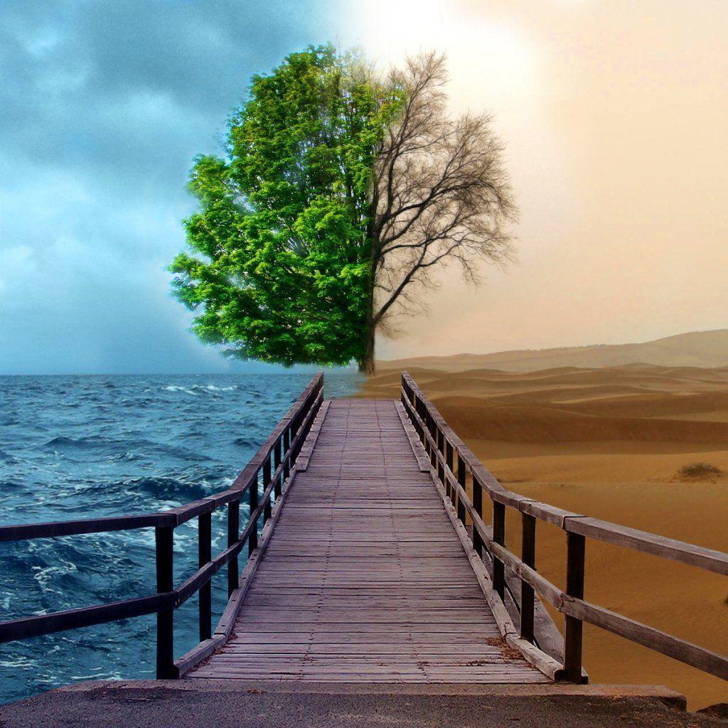 Bipolar nature wallpaper & background